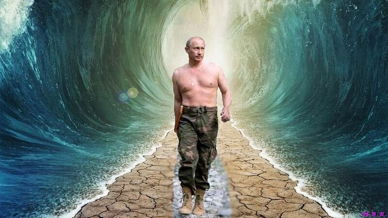 Вот они тупые эти хохлы и оппозиционеры Путина. Они должны молиться на него