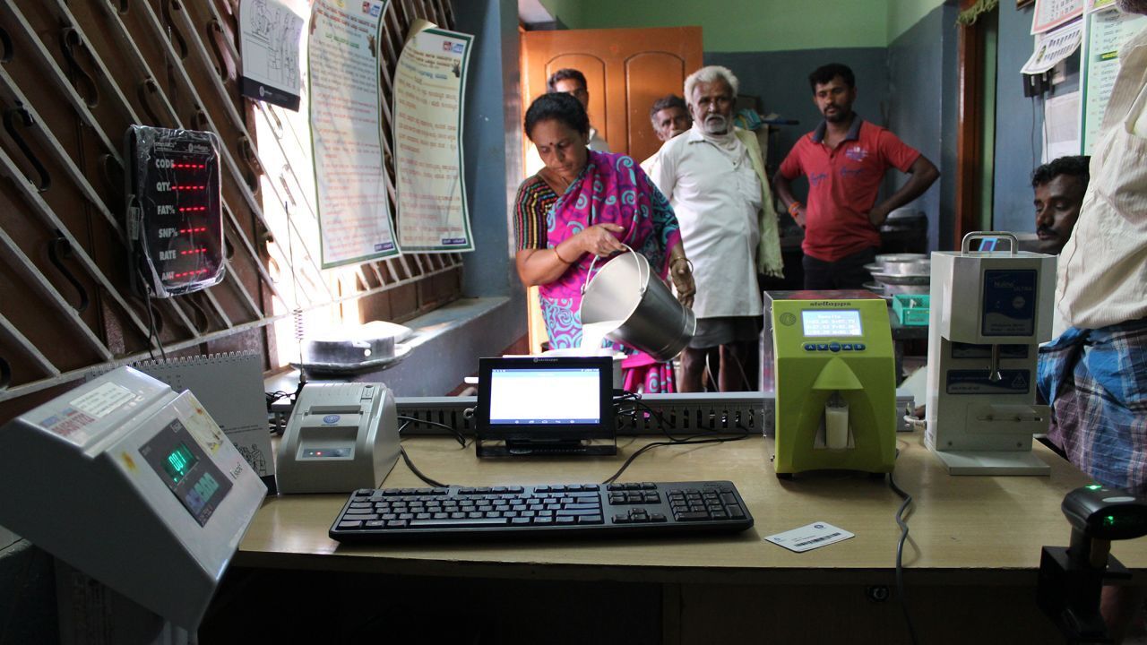 Этот стартап в области молочных технологий создал счетчик шагов для коров