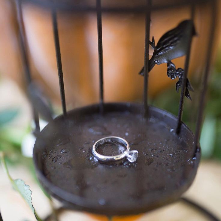 Теперь мы принадлежат людям, которые стоят за интернет-бизнесом Калиры и Саванны в области моды и модных аксессуаров Momstix.