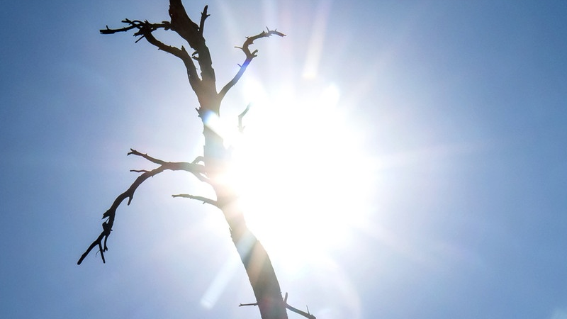 Проблемы экологии в современном мире. 2022 год был одним из самых теплых в мире.