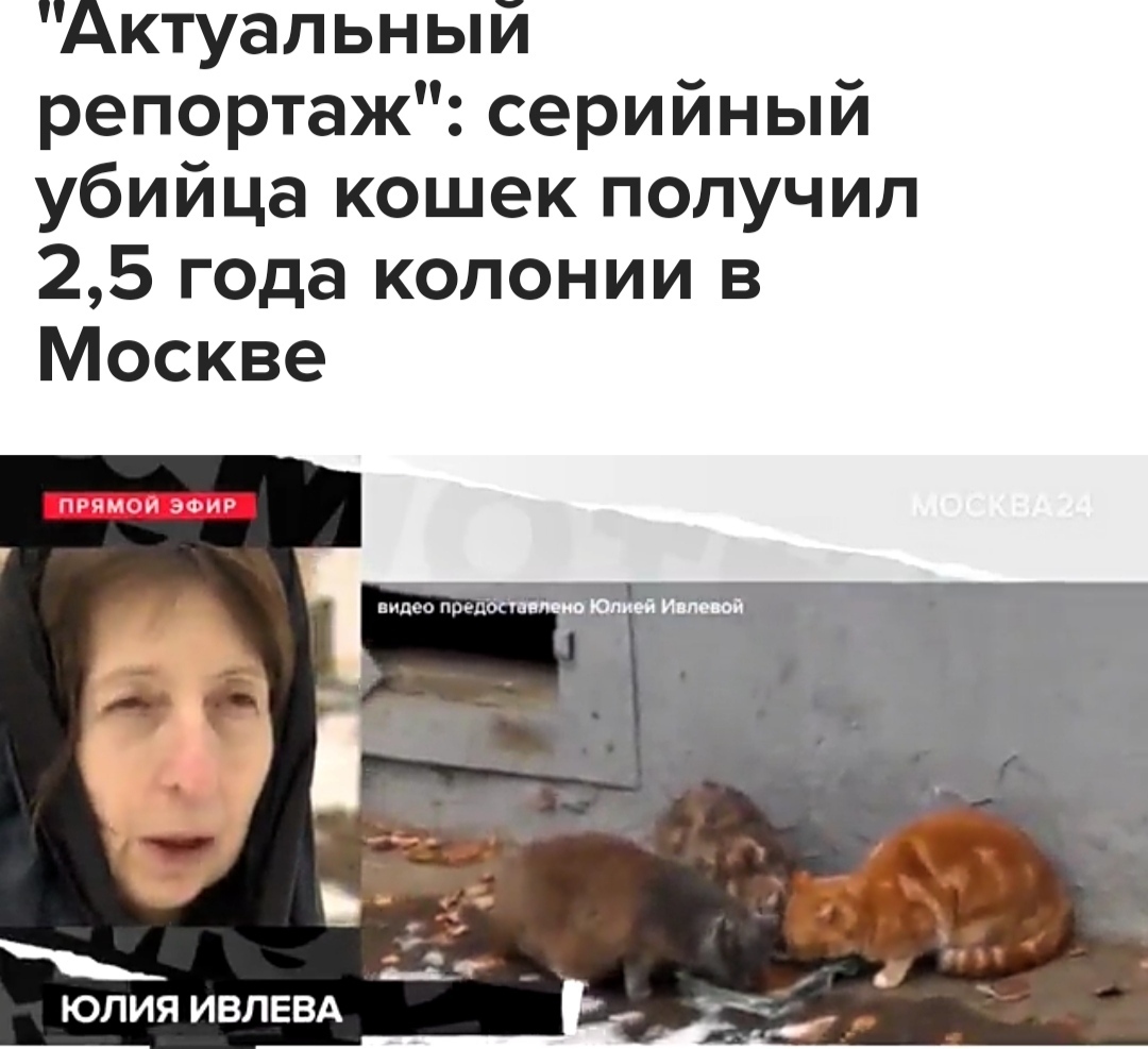 Люди против жЫвотных: два года за котов и 8 тысяч за собаку