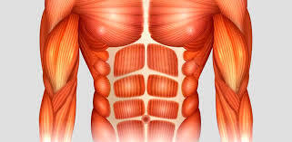 Планка: польза и выполнение упражнения