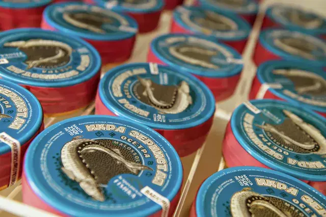 Чемоданы на миллионы: Как не попасть в тюрьму за свой багаж