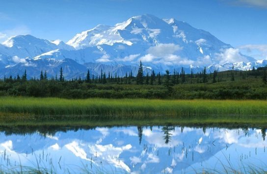 Виды природы