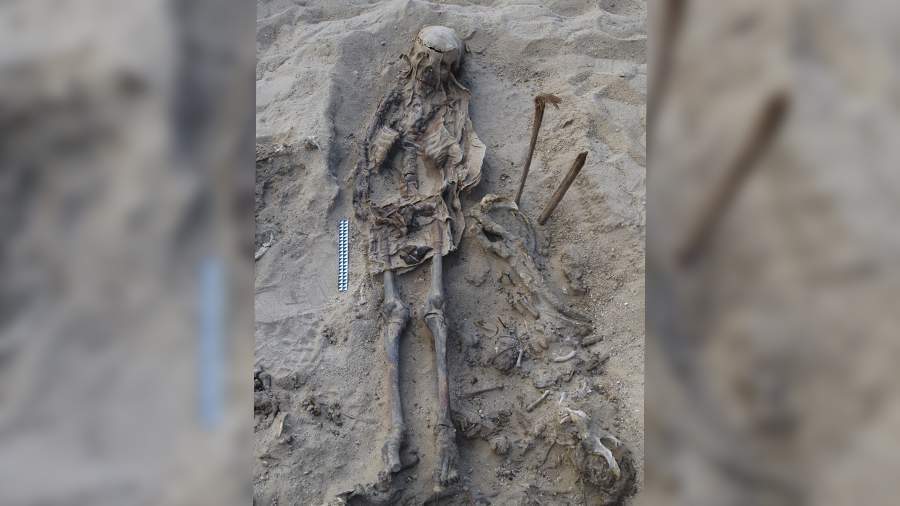 Российские археологи нашли захоронения подростка и 140 собак в Египте