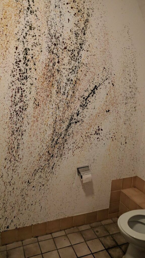 Наслаждайтесь лучшим из обоих миров, обжаривайте собственные кофейные зерна и наслаждайтесь кофе высочайшего качества.