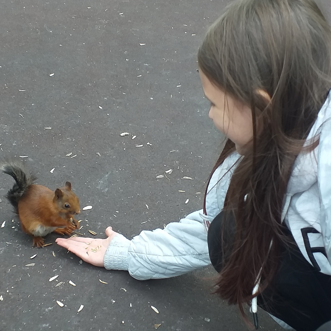 Аллея спортсменов - это парк в городе Прокопьевске.