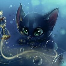 Кот Монте Кристо, г. Астрахань