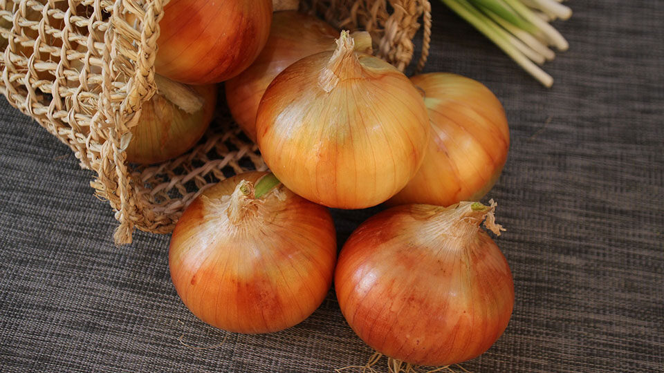 Откройте для себя удивительные преимущества лука! Больше, чем просто ароматная добавка к вашему блюду.