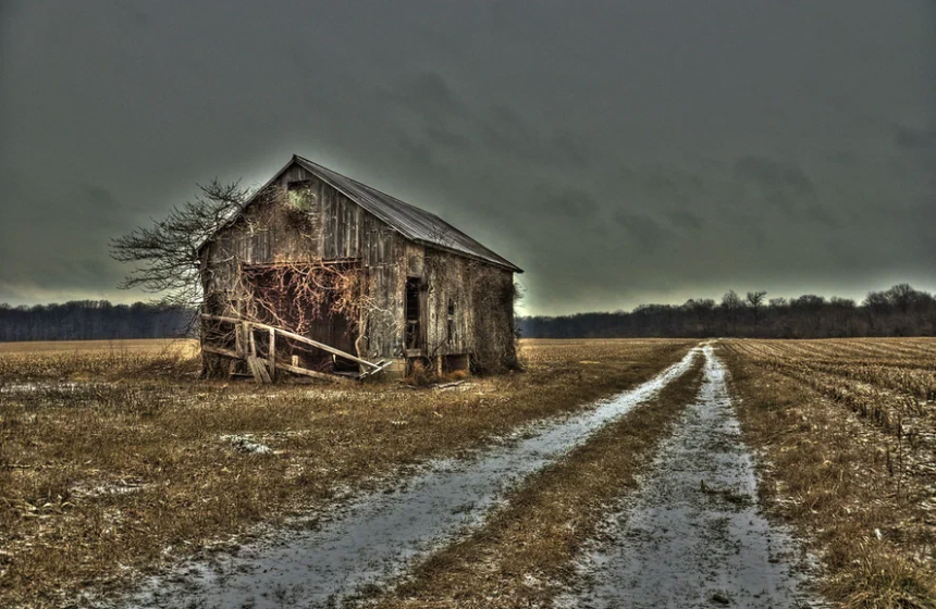 В Госдуме предложили бесплатно раздать европейцам и американцам российские земли: неужели другого варианта нет?