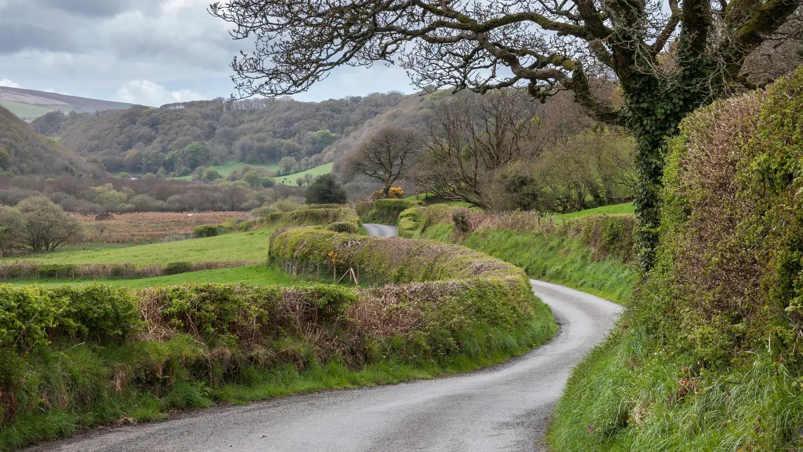 Долина Гваум . Уэльс