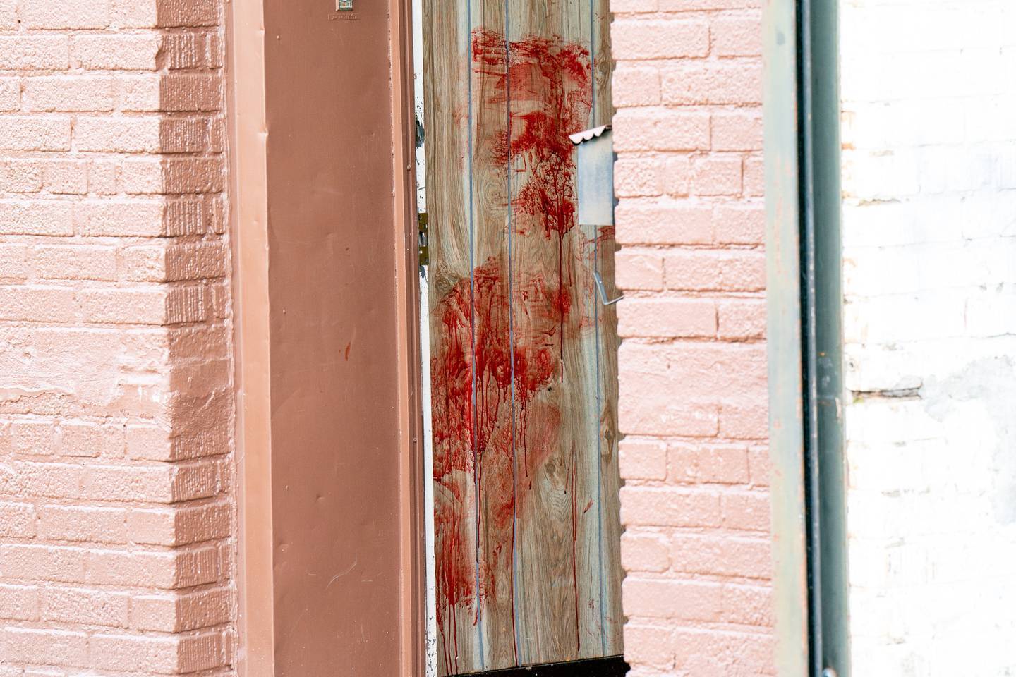 Бруклинская женщина, обвиняемая в жестоком убийстве отца, сказала полицейским, что он собирался выгнать ее из семейного дома