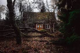 Зловещий домик в лесу