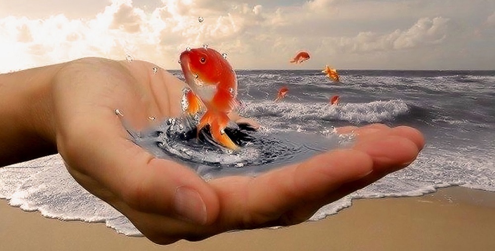 Правило для визуализации желаний.