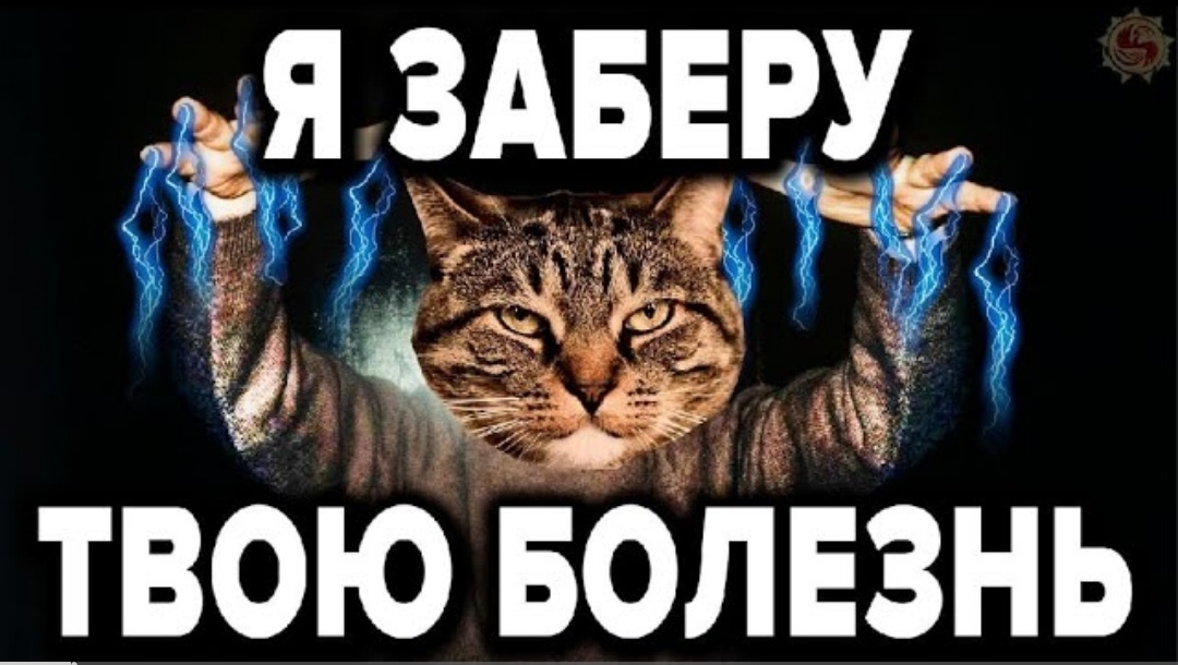 Польза и эффективность