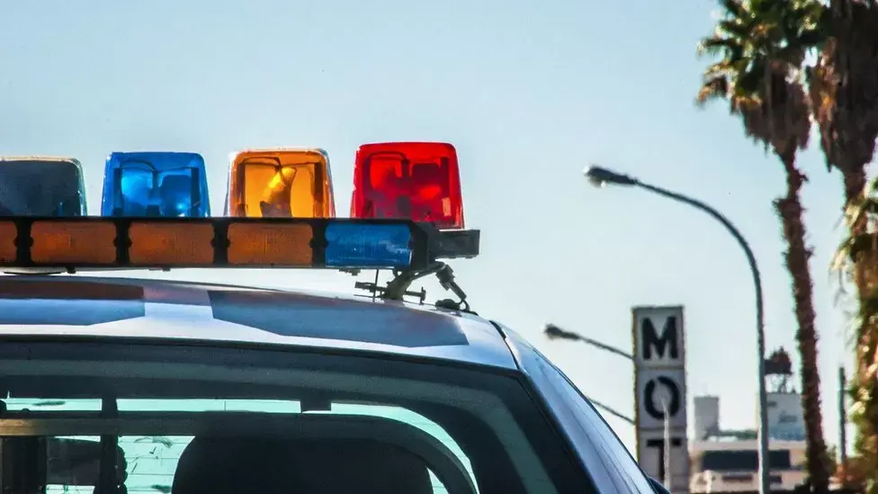 Танцующий с волками актер Натан Чейзинг Хорс арестован по делу о сексуальном насилии