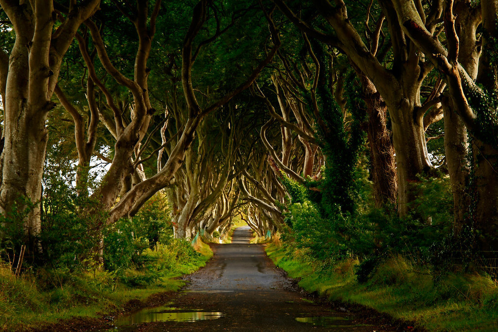 Пять знаменитых улиц, которые стоит посетить