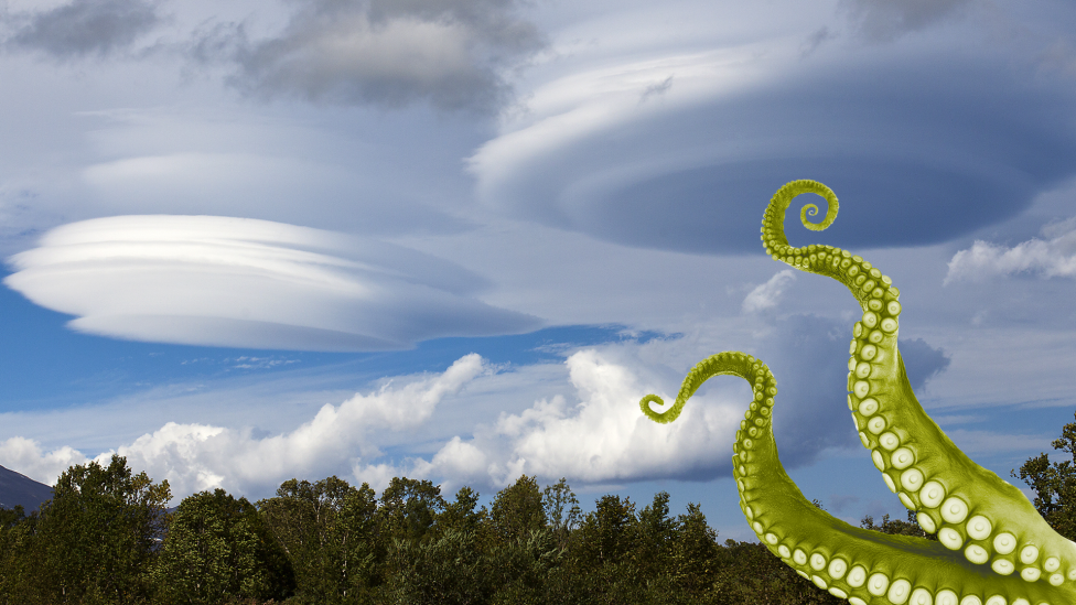 30 сумасшедших забавных фактов, которые поразят вас