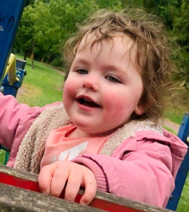 Трагическая жертва нападения собаки, 4 года, изувеченная до смерти.