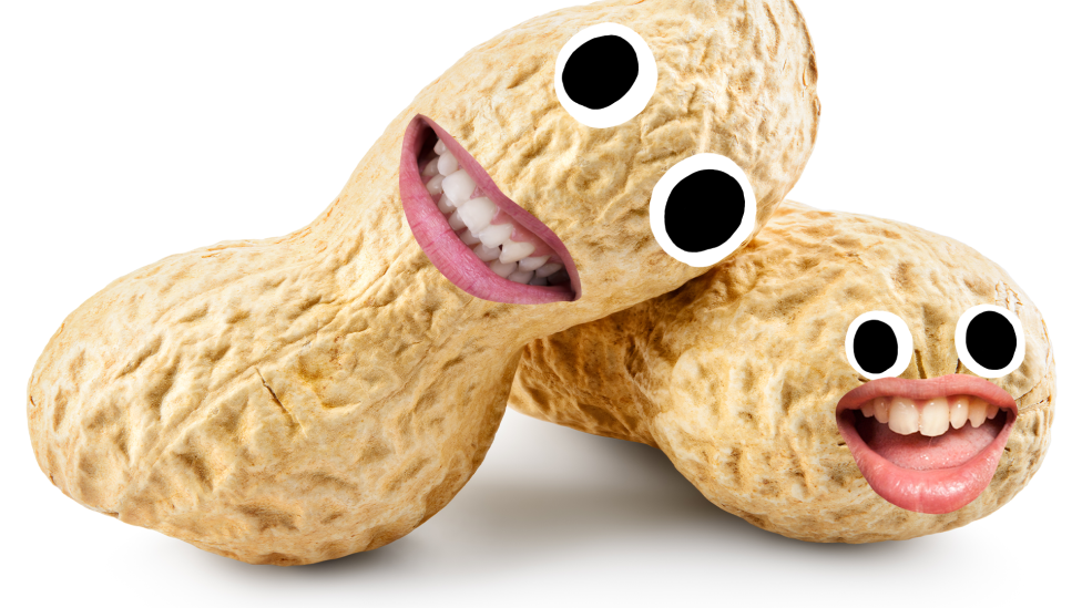 30 сумасшедших забавных фактов, которые поразят вас