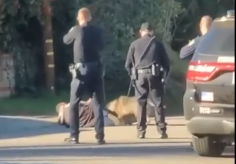 Методичка, по которой действуют военкомы на Украине