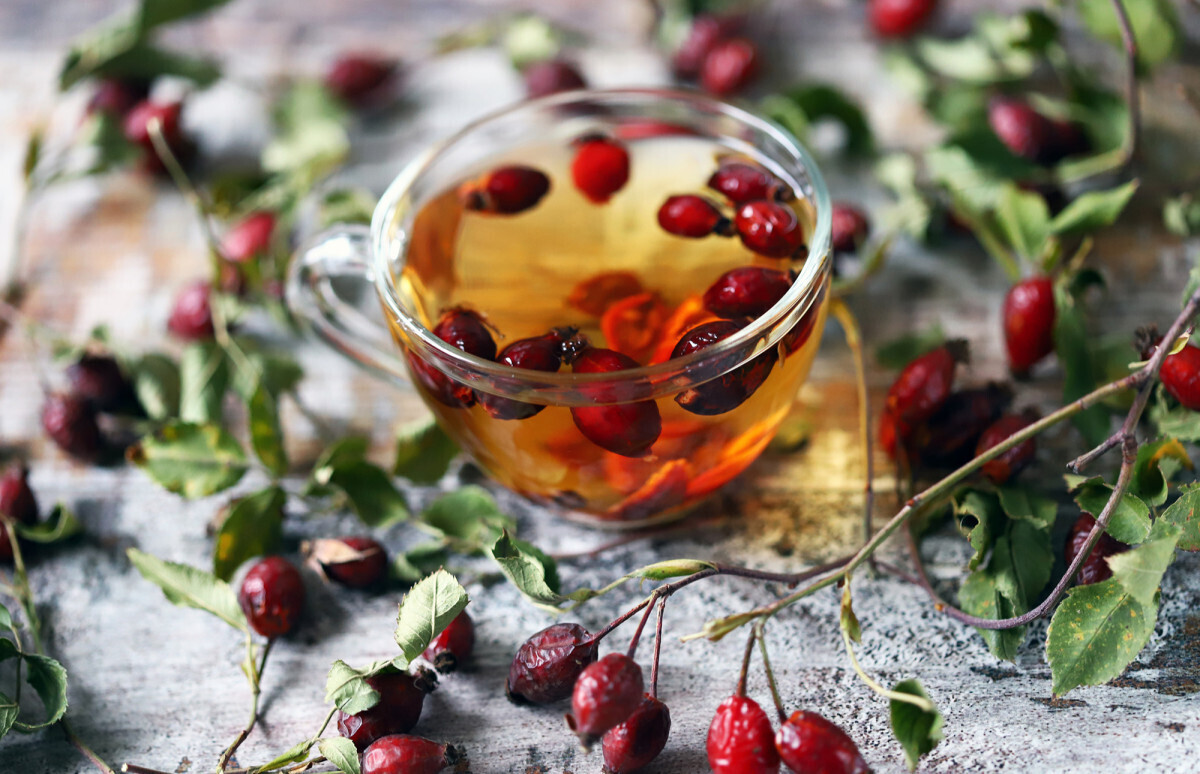 Чем полезен шиповник и как его заваривать?