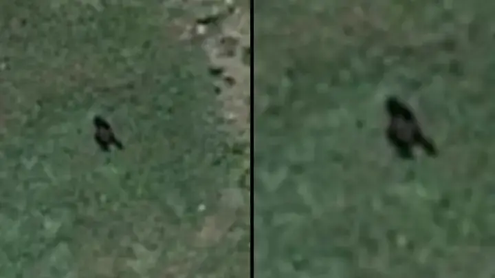 Сторонники теории заговора считают, что они заметили Снежного человека, поскольку огромное существо видно на Google Планета Земля.