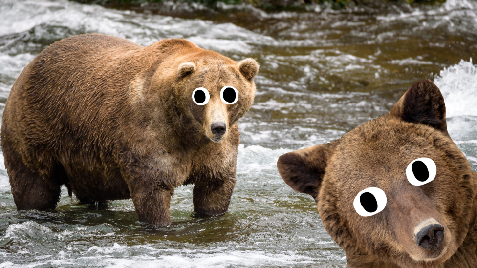 30 сумасшедших забавных фактов, которые поразят вас