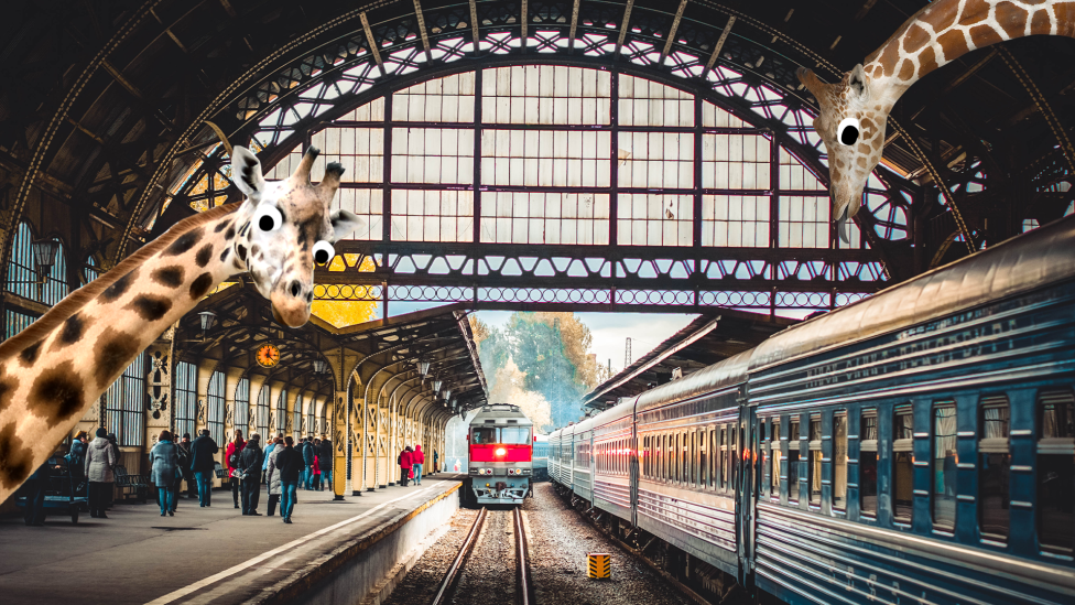 30 сумасшедших забавных фактов, которые поразят вас