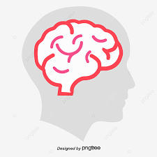 Мозг перестал работать? Узнай 7 способов как его прокачать