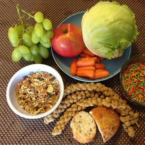 Как ввести в свой рацион овощи, фрукты и злаки?