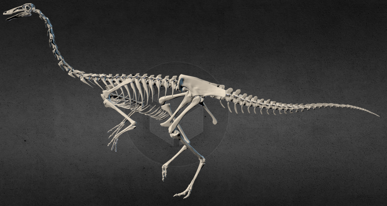 Юрская Энциклопедия "Галлимим" №1