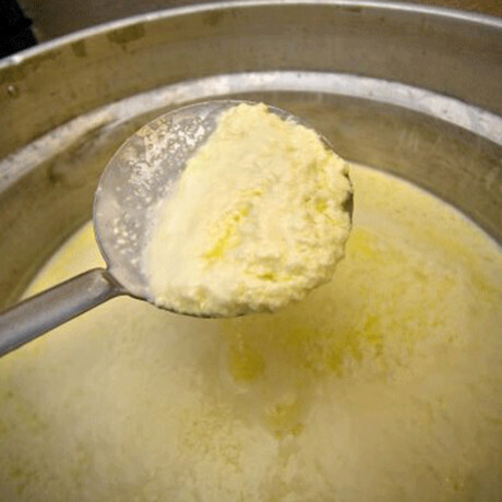 Что такое лечение сывороткой?