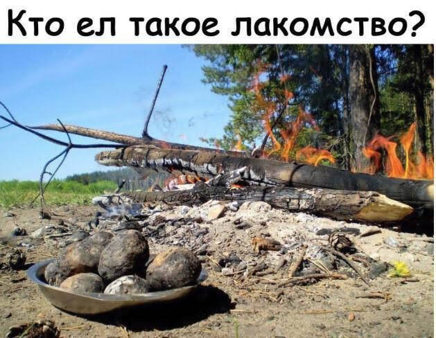 Полезна ли ностальгия?