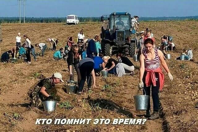 Полезна ли ностальгия?