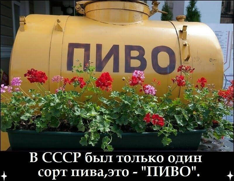 Полезна ли ностальгия?
