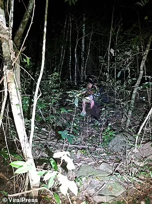 Британские туристы спасены из кишащих змеями тайских джунглей после того, как заблудились на заброшенной пешеходной тропе