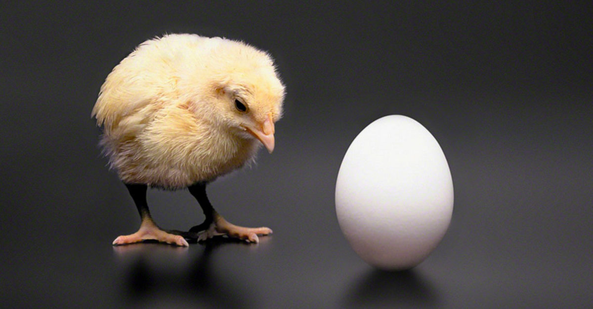 Извечный спор