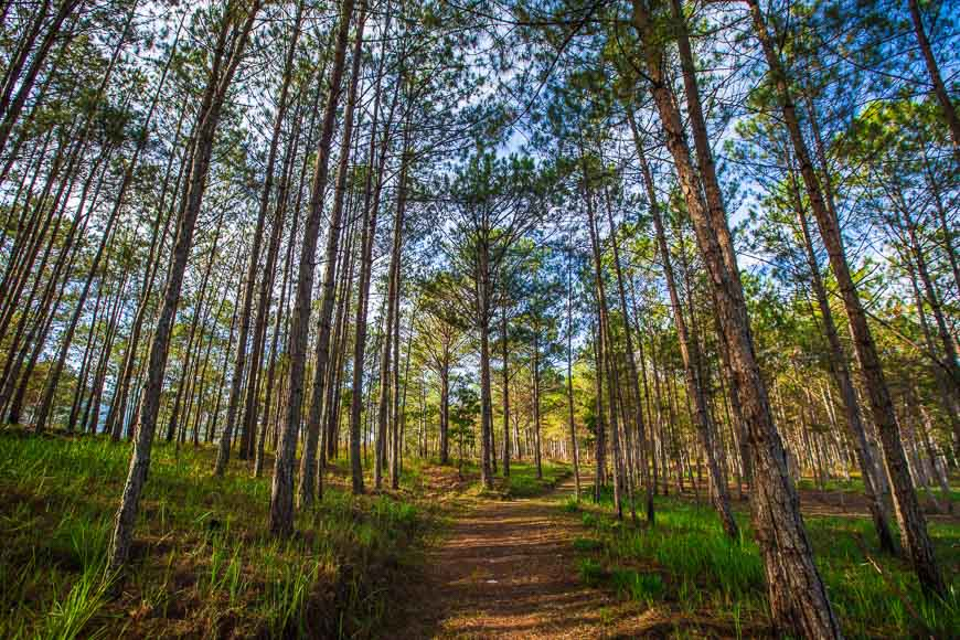 8 способов оценить Далат