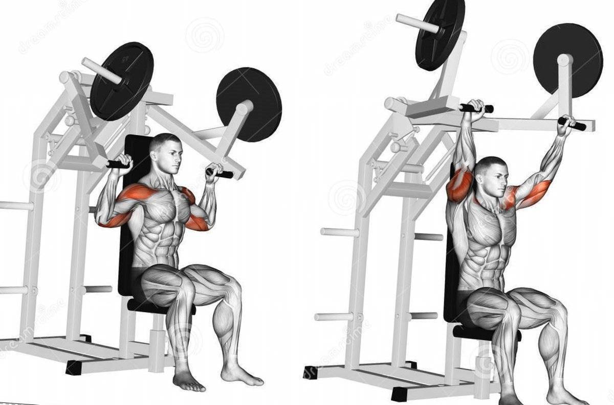 Немного об анатомии плеч| Разминка плеч| Основные упражнения на плечи| Подведение итогов в выполнении упражнений