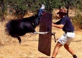 Почему жизнь на континенте Австралия не каждому подойдет?