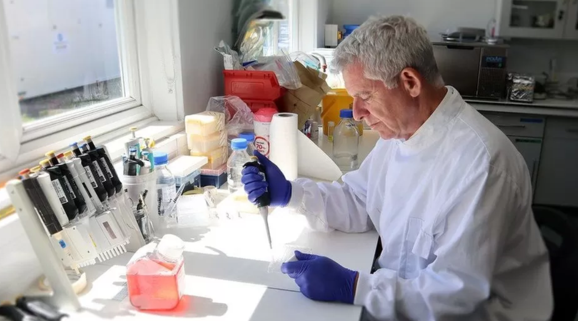 Птичий грипп "перекинулся" на выдр и лис в Великобритании