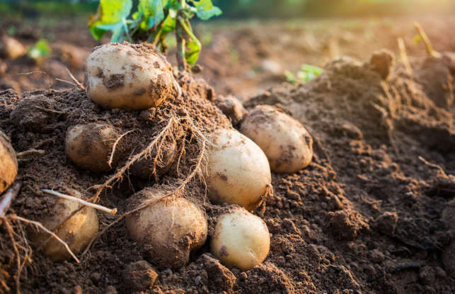 Худший дефицит в истории