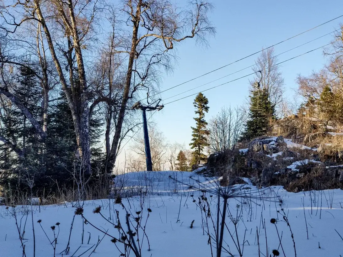 Что сейчас происходит на территории Лагонаки и нужен ли россиянам ещё один горнолыжный курорт вместо заповедника