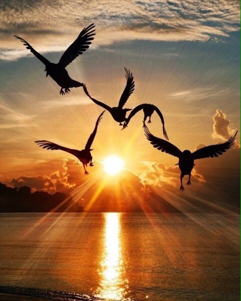 Как связан человек и природа!