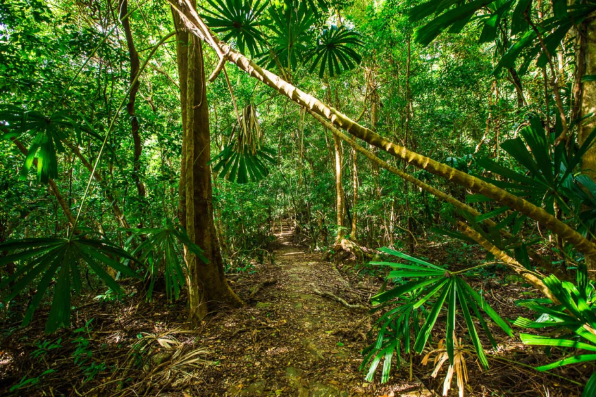 Ваш путеводитель по пляжному отдыху в Кондао