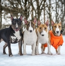 Воложанина Владилена, г. Санкт-Петербург