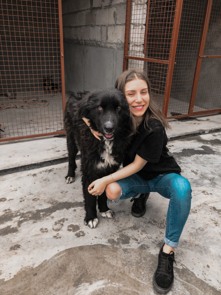 От «Папы-собаки» к «Маме-собаке»