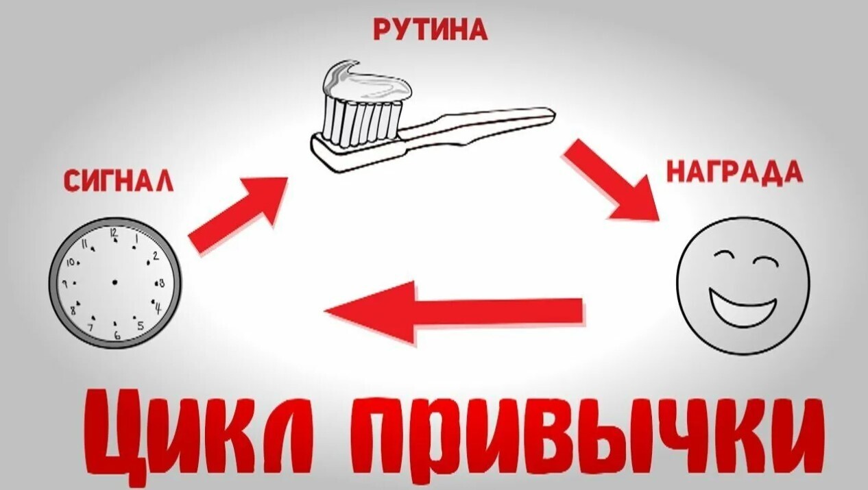 Что такое рутина и почему она полезна