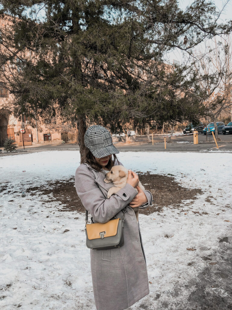 От «Папы-собаки» к «Маме-собаке»